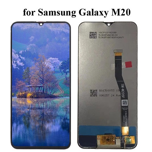 Thay Màn Hình Samsung M20 : Uy Tín, Nhanh Chóng, Giá Rẻ