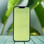 lỗi xanh màn trên iPhone 13 pro max