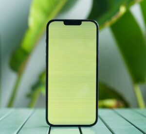 lỗi xanh màn trên iPhone 13 pro max